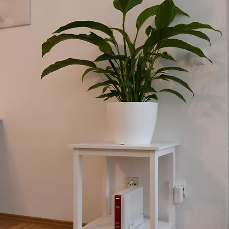 - Zentral Mit Parkplatz - Balkon Apartment Bayreuth